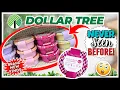 DOLLAR TREE HAUL Worthy Finds You NEED To GRAB Now NEVER Seen Before VIRAL Items Spotted