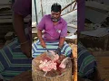 Download Lagu kadal viral fish cutting video/#kasimedufishmarket #fishcuttingsk #shorts
