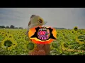 Download Lagu MAMA PAPA LARANG - JUDIKA REMIX SANTUY || DJ SANTUY MAMA PAPA LARANG