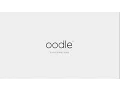 Smith System oodle Instructional