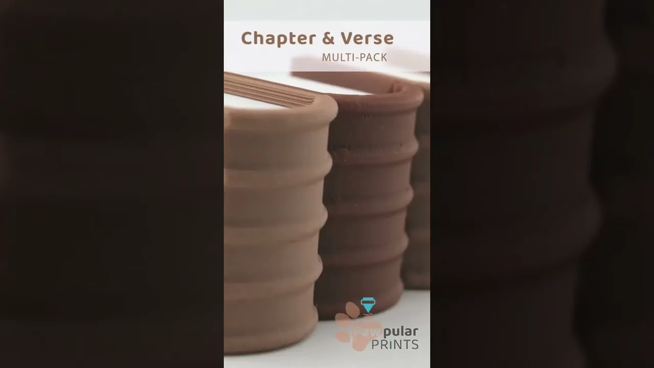 Chapter and Verse video thumbnail