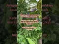 Download Lagu Roda kehidupan selalu berputar
