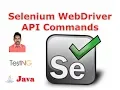 Selenium Class 24 - Selenium WebDriver API Commands