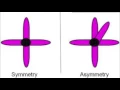 Symmetry