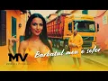 Manelele Viitorului - Barbatul meu e sofer (Official Video)