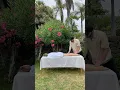 MASSAGE BY THE OCEAN SURROUNDED BY FLOWERS AND PALM TREES PURE AESTHETICS