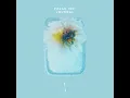 Elve - Polar Inc.