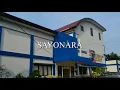 Download Lagu SAYONARA Cover Dwi Handayani