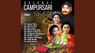 Download Setyo Tuhu MP3