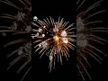 Download Lagu ADEUS ANO VELHO! FELIZ ANO NOVO!
