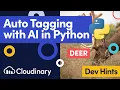 Python AI Image Tagging Tutorial Flask Google Vision