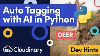 Python AI Image Tagging Tutorial Flask Google Vision
