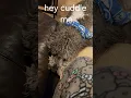 Cuddle Party