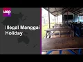 Download Lagu Illegal Manggai holiday