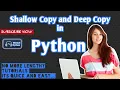 Shallow Copy and Deep Copy in Python