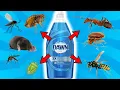 DAWN DISH SOAP Ultimate Pest Control For BEDBUGS ANTS GNATS FLEAS BUGS WASPS MOLES MOSQUITO
