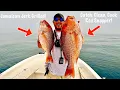 RED SNAPPER GRILLED DELICIOUS Catch Clean Cook