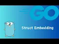 Go Struct Embedding tutorial 26