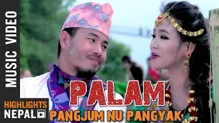 Pangjum Nu Pangyak Atal Tumbapo Ganga Phiyak Ft Sumi Limbu Deni Limbu Limbu Song 2076 