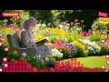 Download Lagu Sholawat Nabi untuk Tidur: Relaksasi dan Kedamaian yang Mendalam