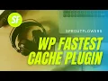 How to use WP Fastest Cache Plugin Sproutflowers