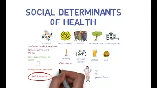 what makes us healthy understanding the social determinants of health