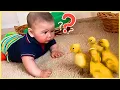 Lagu ULTIMATE Baby Funny Moments: 1 Hour of Cutest Baby Video