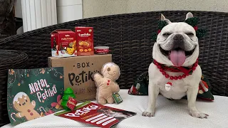 Box Petiko de Natal 🎄