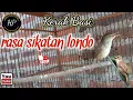 Download Lagu Kerak Basi alis putih gacor | kerak Basi rasa sikatan Londo | sikatan Londo KW
