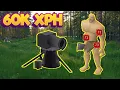 The New Best Cannon Spot for LOW HP Giants OSRS