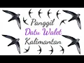 Download Lagu SP. DATU WALET KALIMANTAN original by H.syahril sasmita | suara panggil burung walet