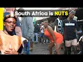 Download Lagu Shocking: How Zulus Party in Johannesburg, South Africa (Wild Footage)