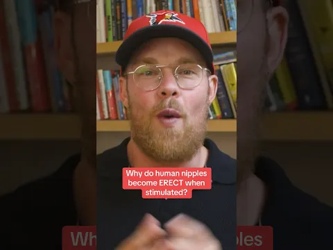 Why do nipples become erect?