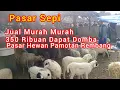 Download Lagu 350 Ribuan Dapat Domba ‼️ Pasar Sepi Jual Murah Murah ‼️ Pasar Hewan Pamotan Rembang Jawa Tengah 
