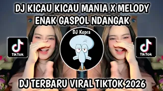dj kicau kicau mania melody enak gaspol ndangak trend fyp viral tiktok 2026 terbaru 