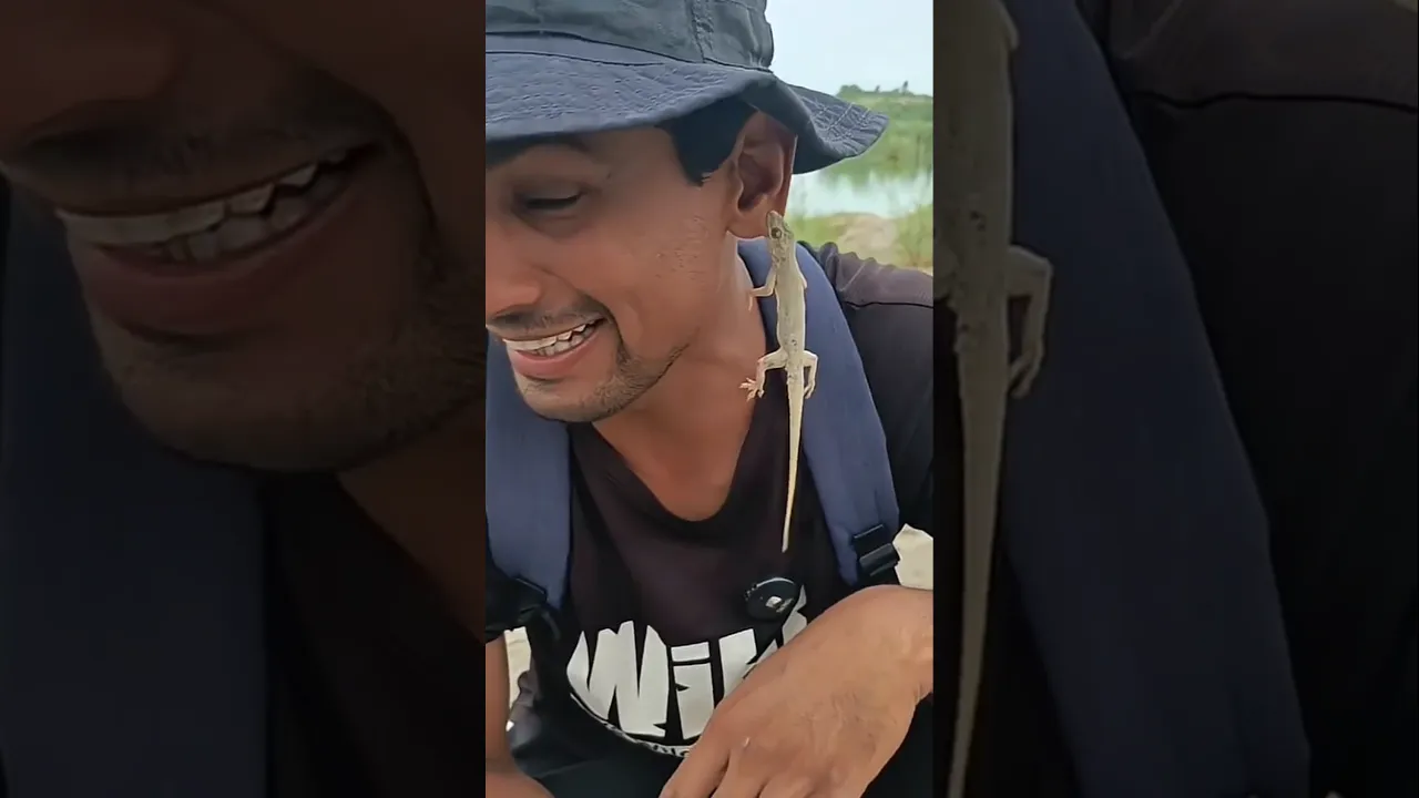 Never Eat Lizard 🤢