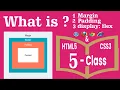 What is Margin Padding display-flex HTML5 CSS3 class5