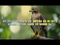 Jairo Vera & Juhn – Troka