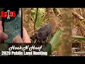 Using Maps To Find The Critters In The Swamps Georgia Public Land