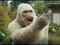 Rampage George points middle finger at Davis Okoye
