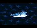 Grimes - ACCELERANDO (Fan Visualizer)