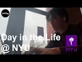 Day in Life of Major at New York University UniVlog Yuyang