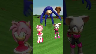 AMY or ROUGE ALL SIZE SHIN SONIC TAPES FAMILY GREEN HILL in Garrys Mod