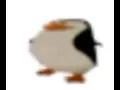 Download Lagu penguin (very emotional)