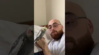 في عندكم حدا هيك المختار خالد أصلان  في عندكم حدا هيك المختار خالد أصلان