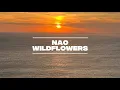 Download Lagu Nao-Wildflowers(Lyrics)@nao 