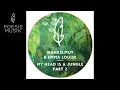 Wankelmut & Emma Louise - My Head Is A Jungle (Extended Vocal Mix)