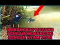 Lagu BUJANG RANAU TERBARU VIRAL ‼️PENAMPAKAN HANTU BANYU DI SUNGAI ANDALAS DI REKAM WARGA
