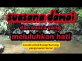 Download Lagu sungai kecil yang damai,dan suara air mengalir cocok untuk terapi otak dan burung2 kicau