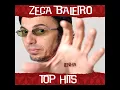 Zeca Baleiro - Lenha